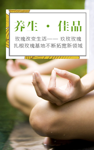 玖玫玫瑰