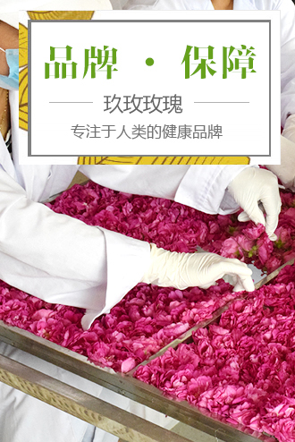 玖玫玫瑰